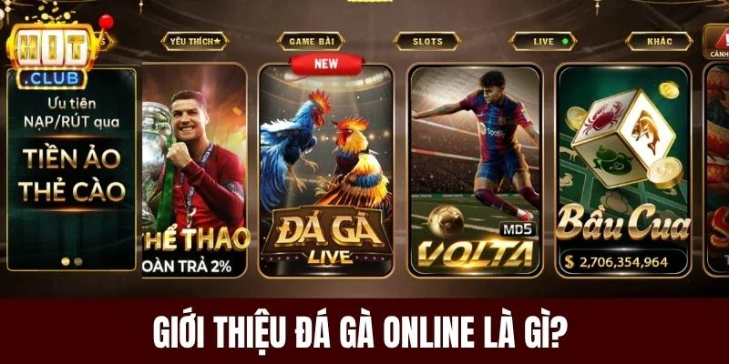 Giới thiệu đá gà online là gì?