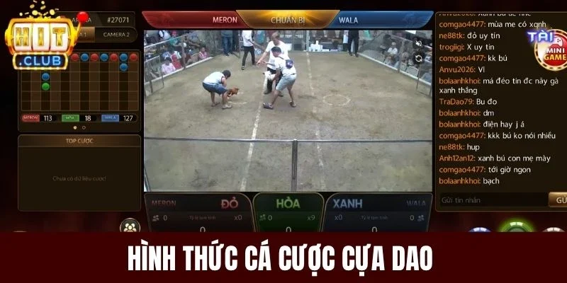 Hình thức cá cược cựa dao